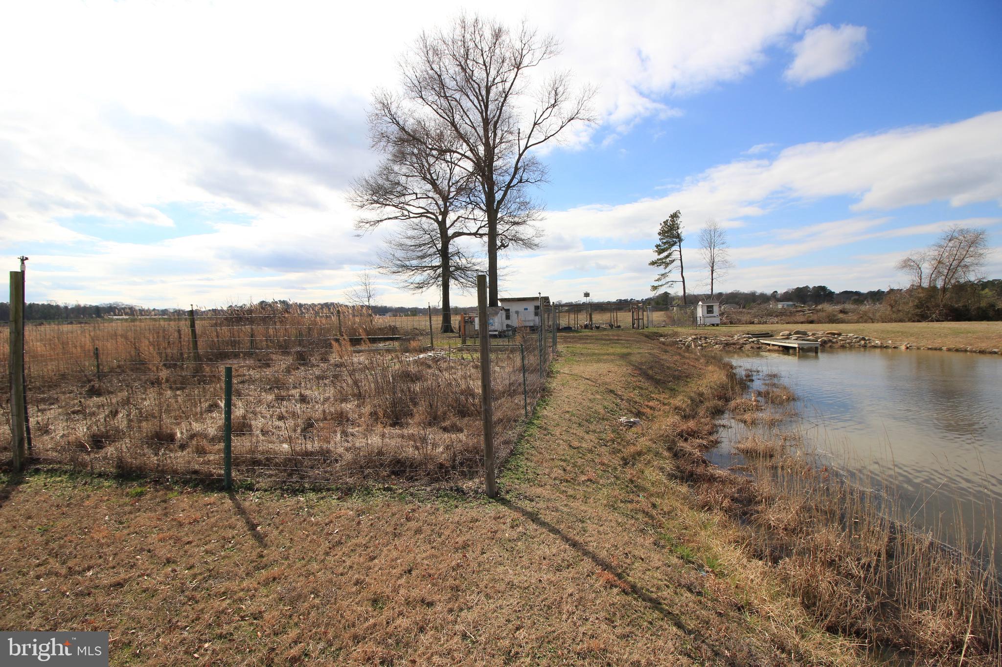 5044 Campground Road Eden, MD 21822 - Photo 47 of 63 Gallery Image 47