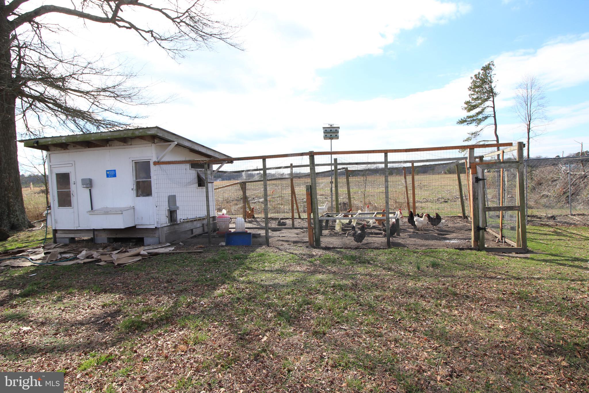 5044 Campground Road Eden, MD 21822 - Photo 48 of 63 Chicken Coop