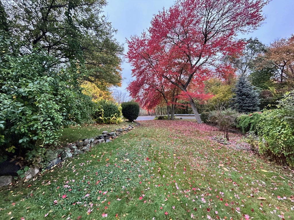 27 Evans Road Stoneham, MA 02180 - Photo 2 of 10 a view of backyard with green space