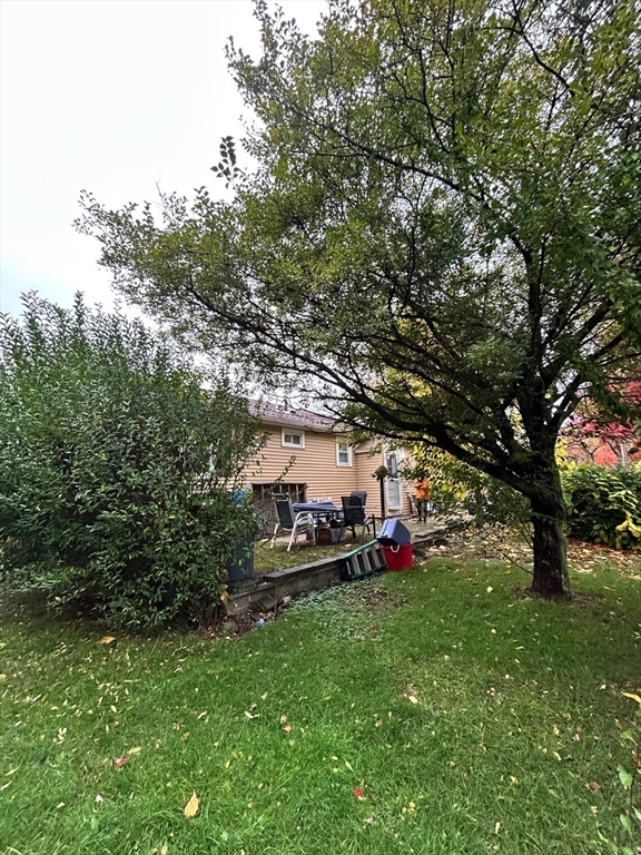 27 Evans Road Stoneham, MA 02180 - Photo 10 of 10 a view of park with large trees