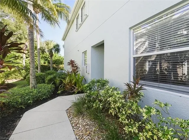 a plant is in front of a house