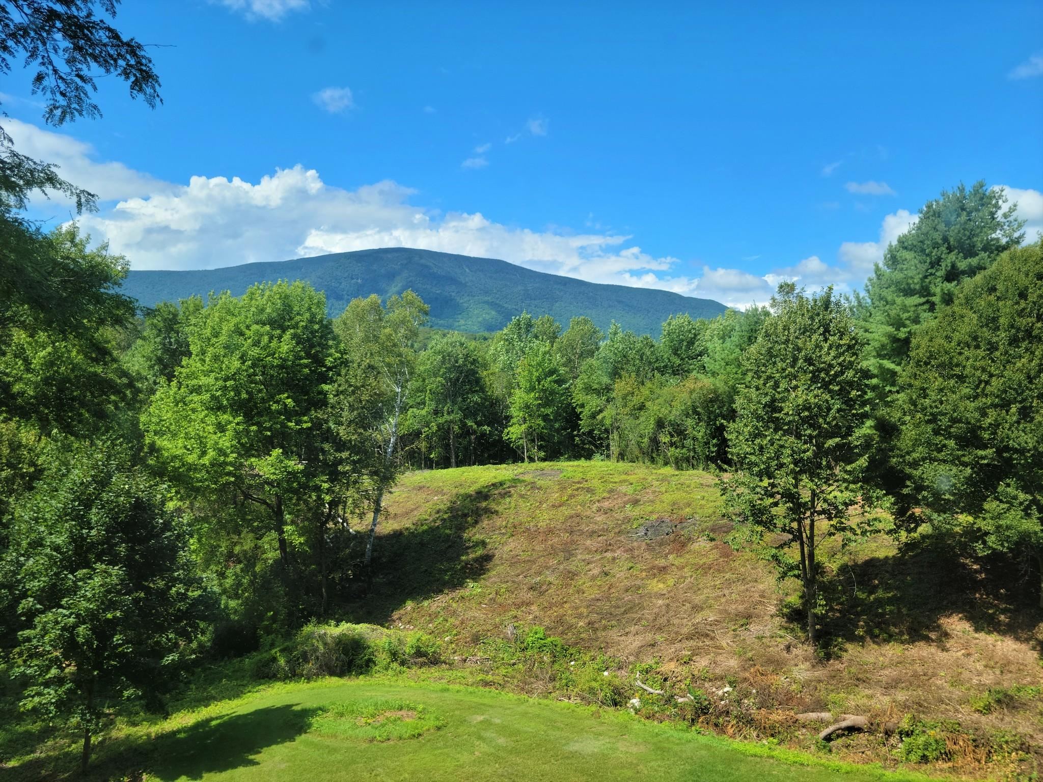 943 Richville Road Manchester, VT 05255 - Photo 2 of 33 Gallery Image 2