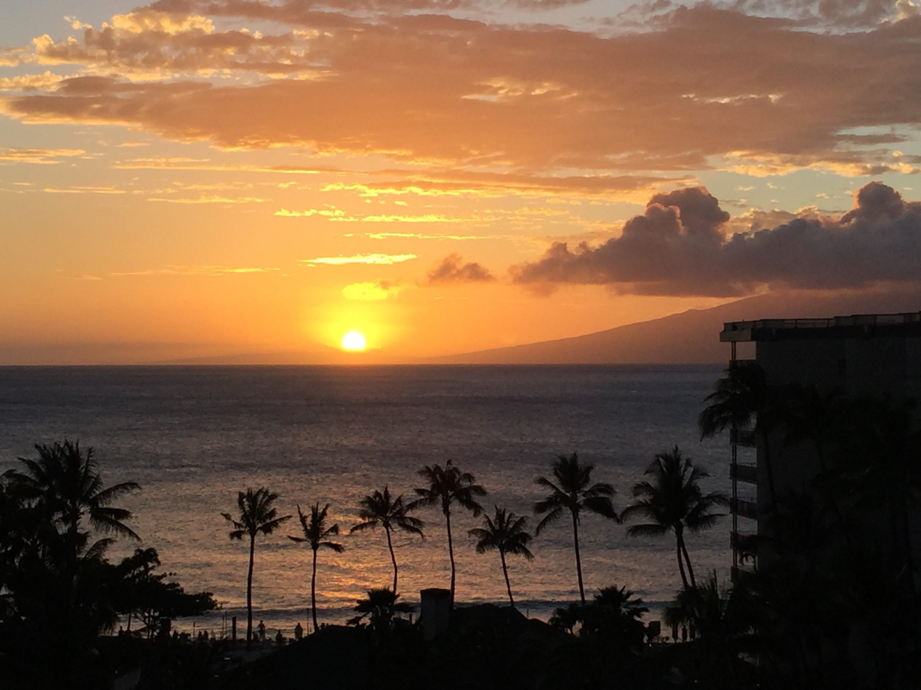 3445 Lower Honoapiilani Road, Unit 933 Lahaina, HI 96761 - Photo 12 of 12 Gallery Image 12