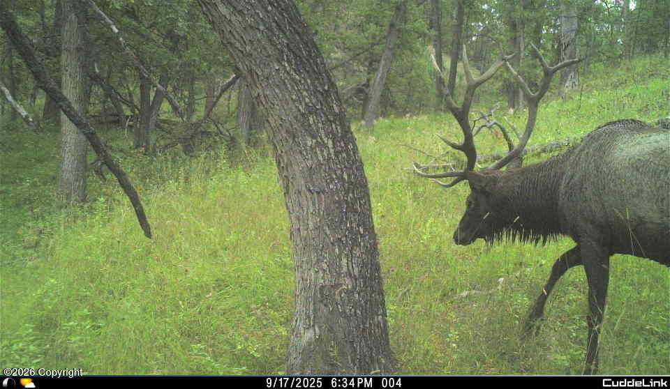 567 Dry Creek Road Upton, WY 82730 - Photo 17 of 22 Gallery Image 17