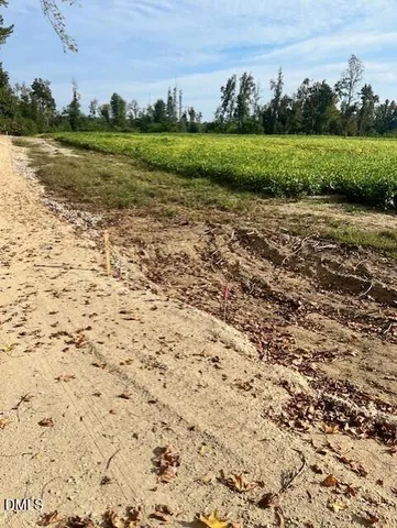 a view of a field with an ocean