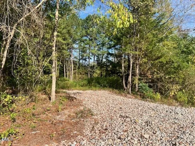 a view of a pathway with a tree