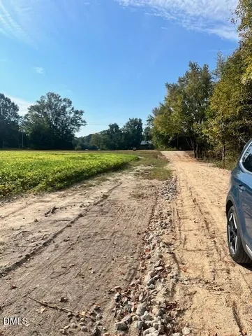 a view of a yard with plants and trees