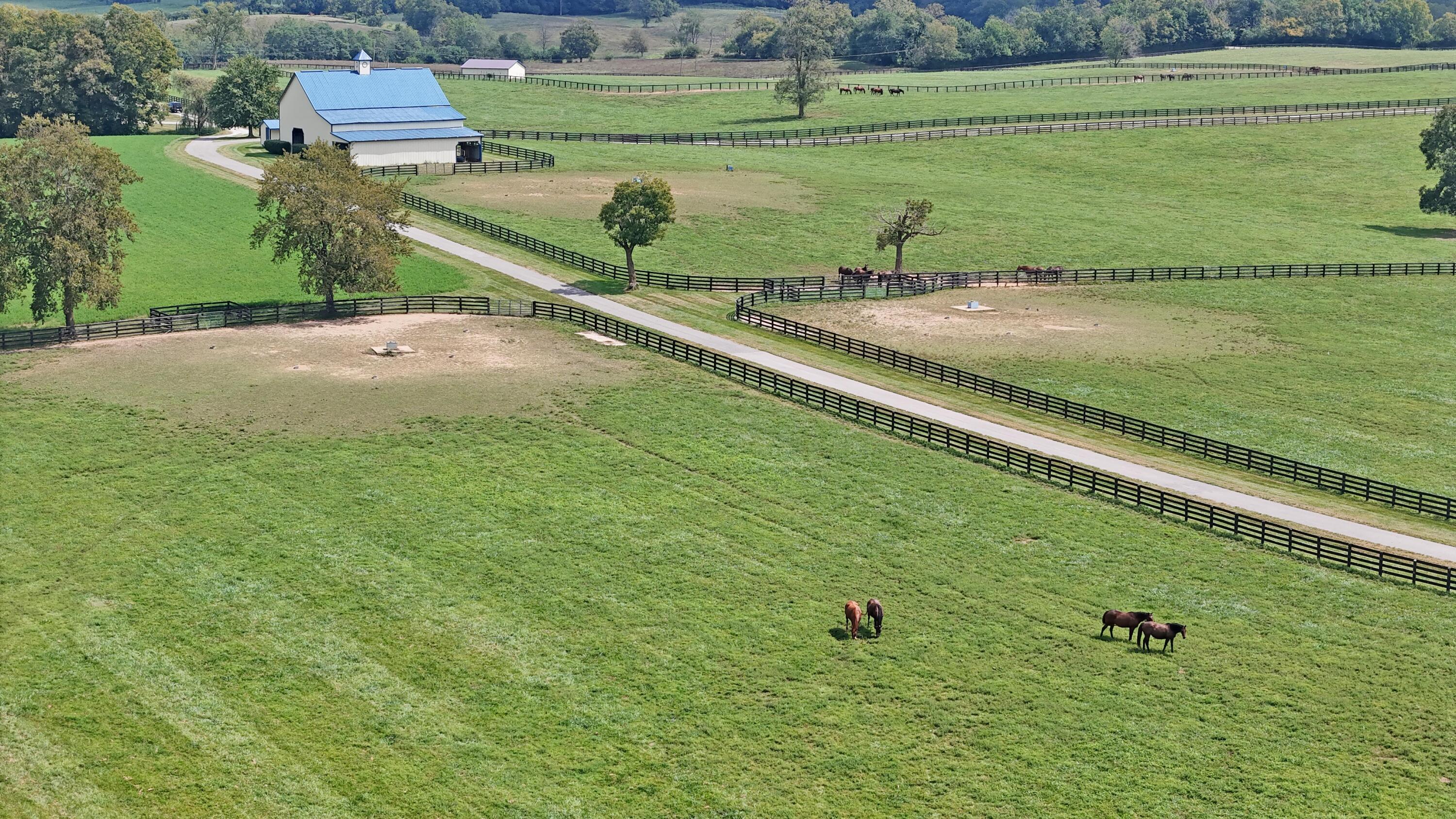 3469 Winchester Road Lexington, KY 40509 - Photo 76 of 86 56