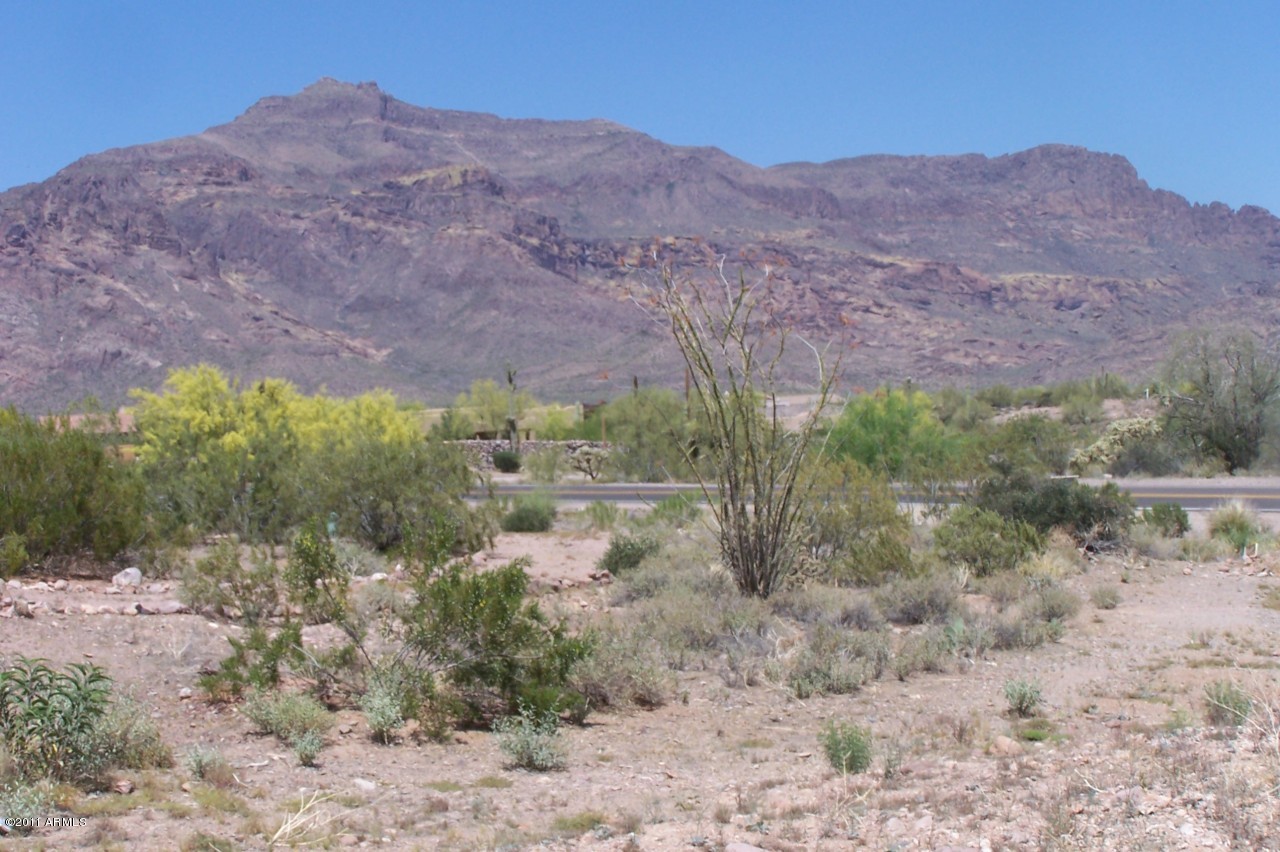 4500 South Kings Ranch Gold Canyon, AZ 85118 - Photo 1 of 6 Superstition Mt Views