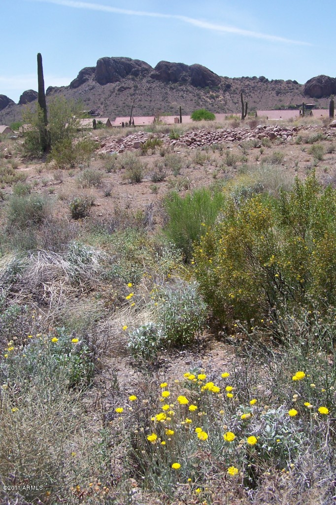 4500 South Kings Ranch Gold Canyon, AZ 85118 - Photo 2 of 6 Dinosaur Mt. Views