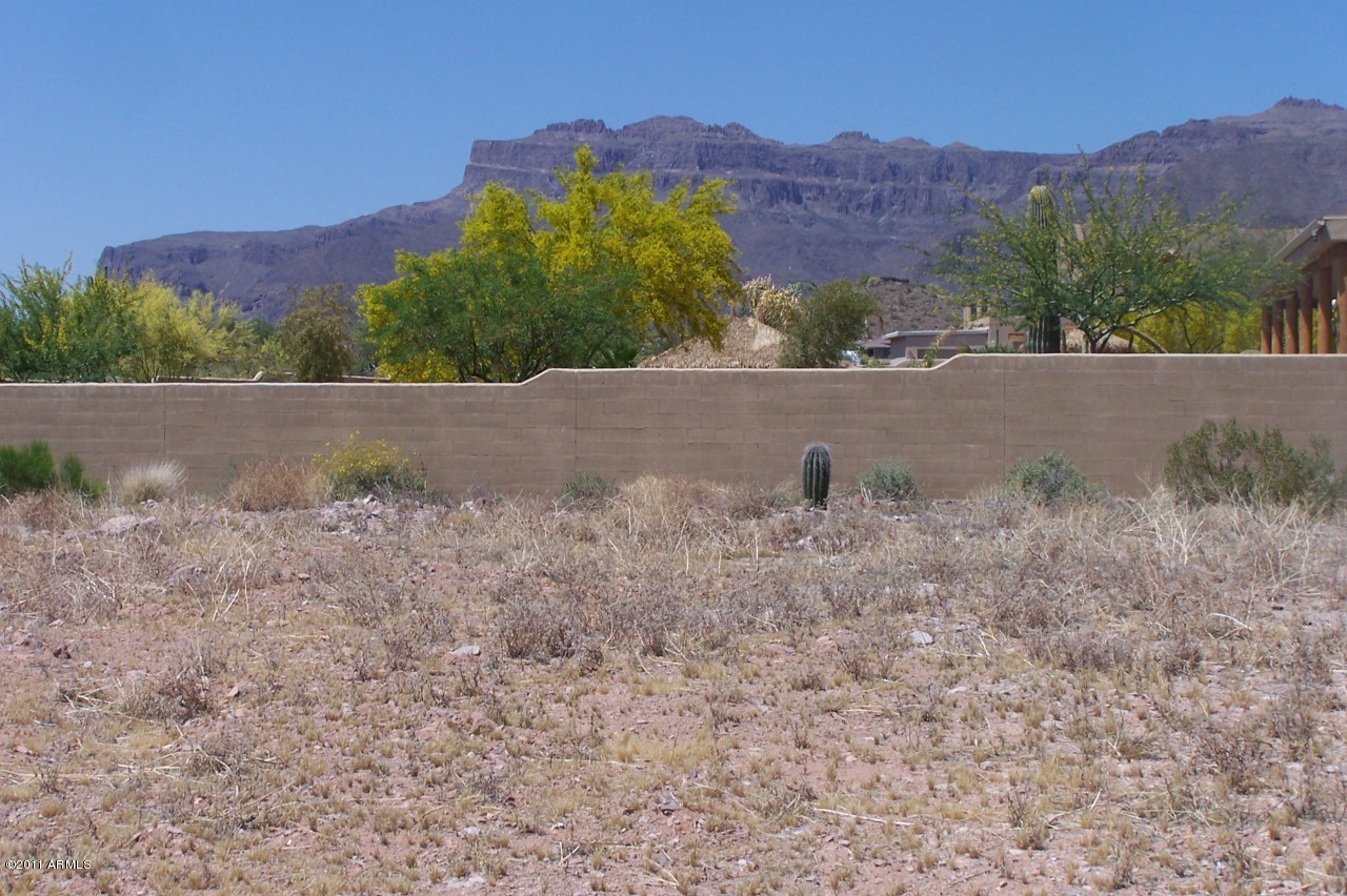 4500 South Kings Ranch Gold Canyon, AZ 85118 - Photo 3 of 6 North Views