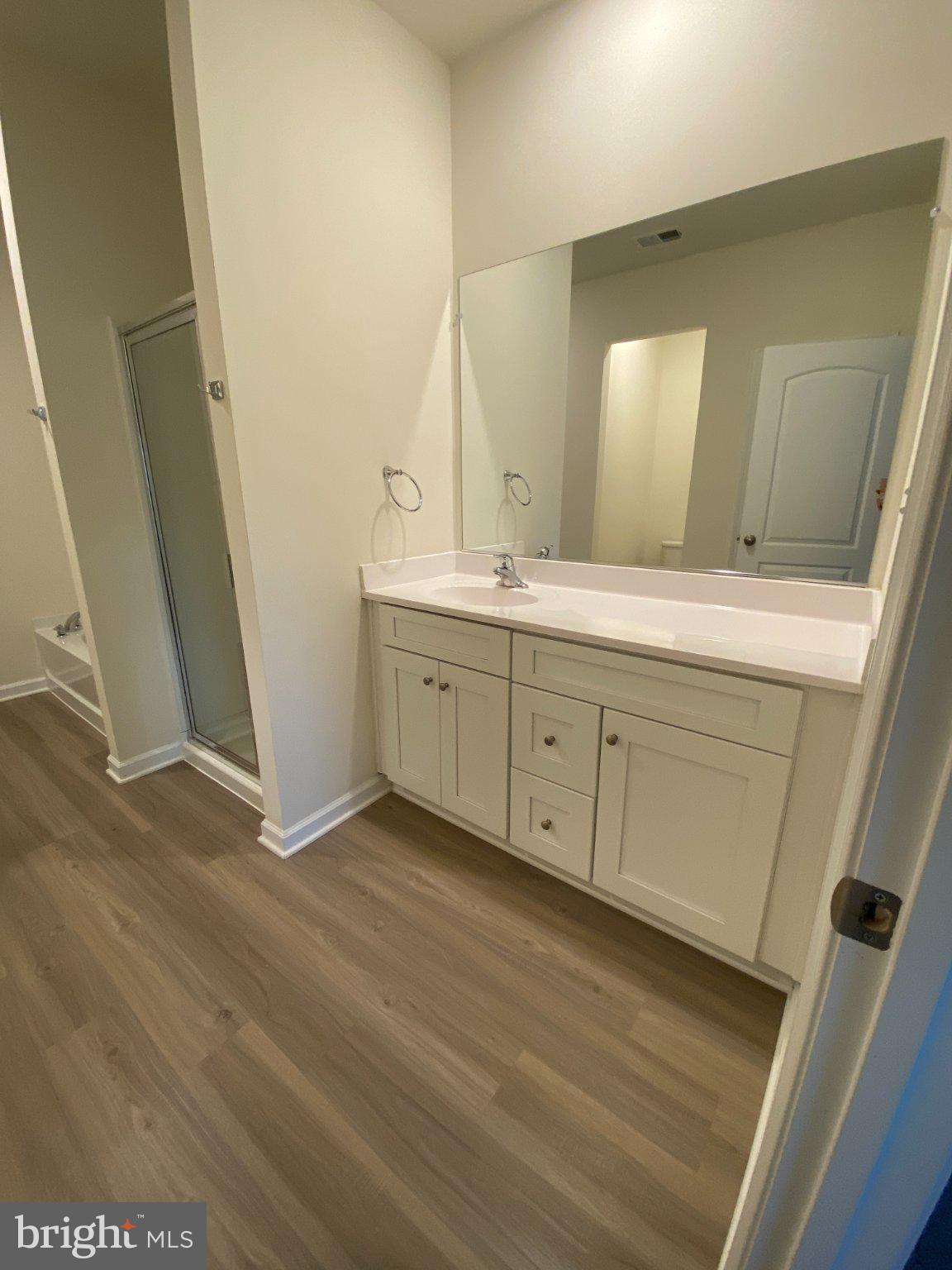 697 Rivanna Run Falling Waters, WV 25419 - Photo 15 of 44 a spacious bathroom with a mirror and a sink