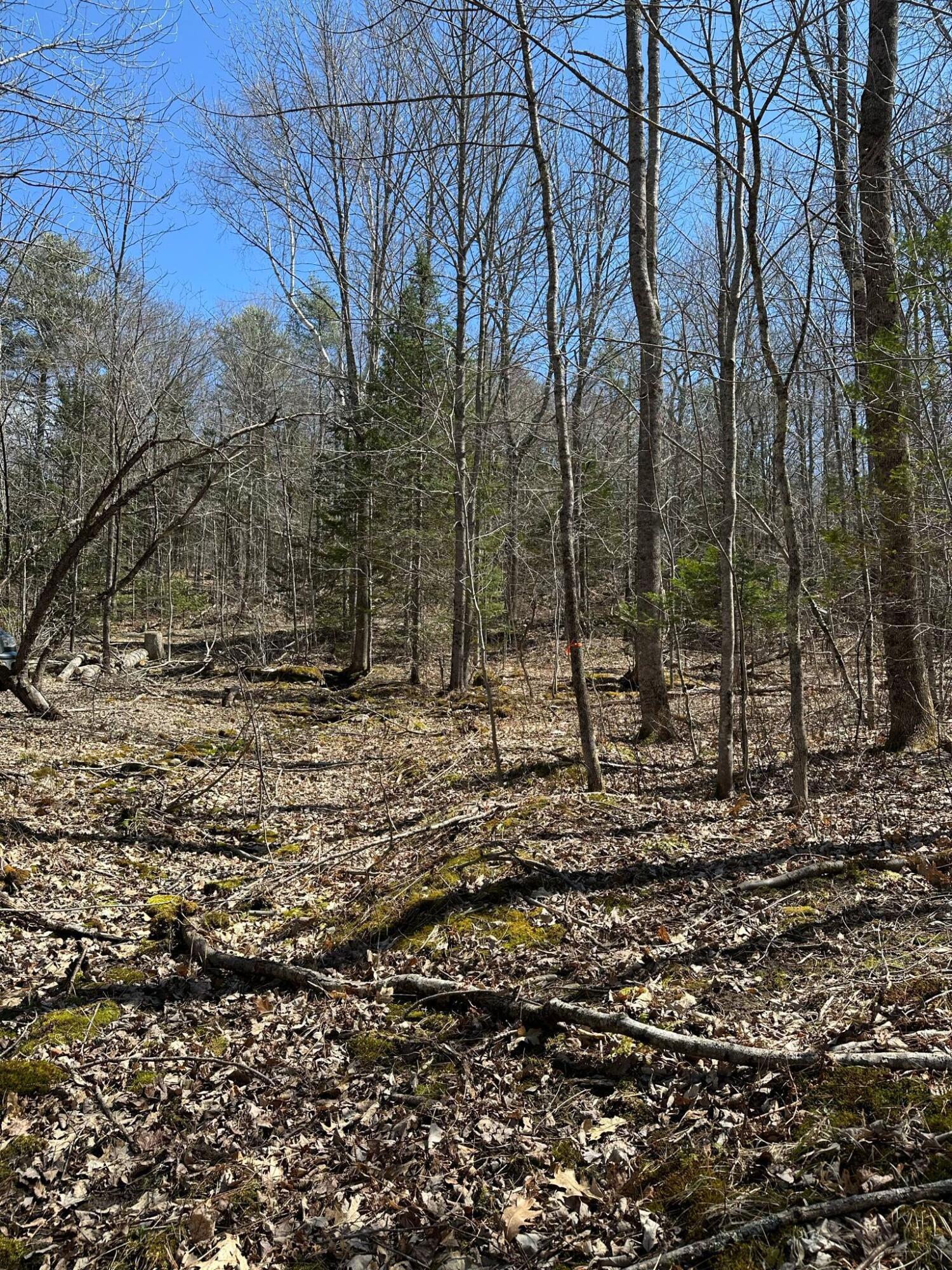 143 Old Union Road Washington, ME 04574 - Photo 15 of 16 att.FVqKBIpHzs7sWMy09KEfU0z_yG1XgzJ1Pmkv