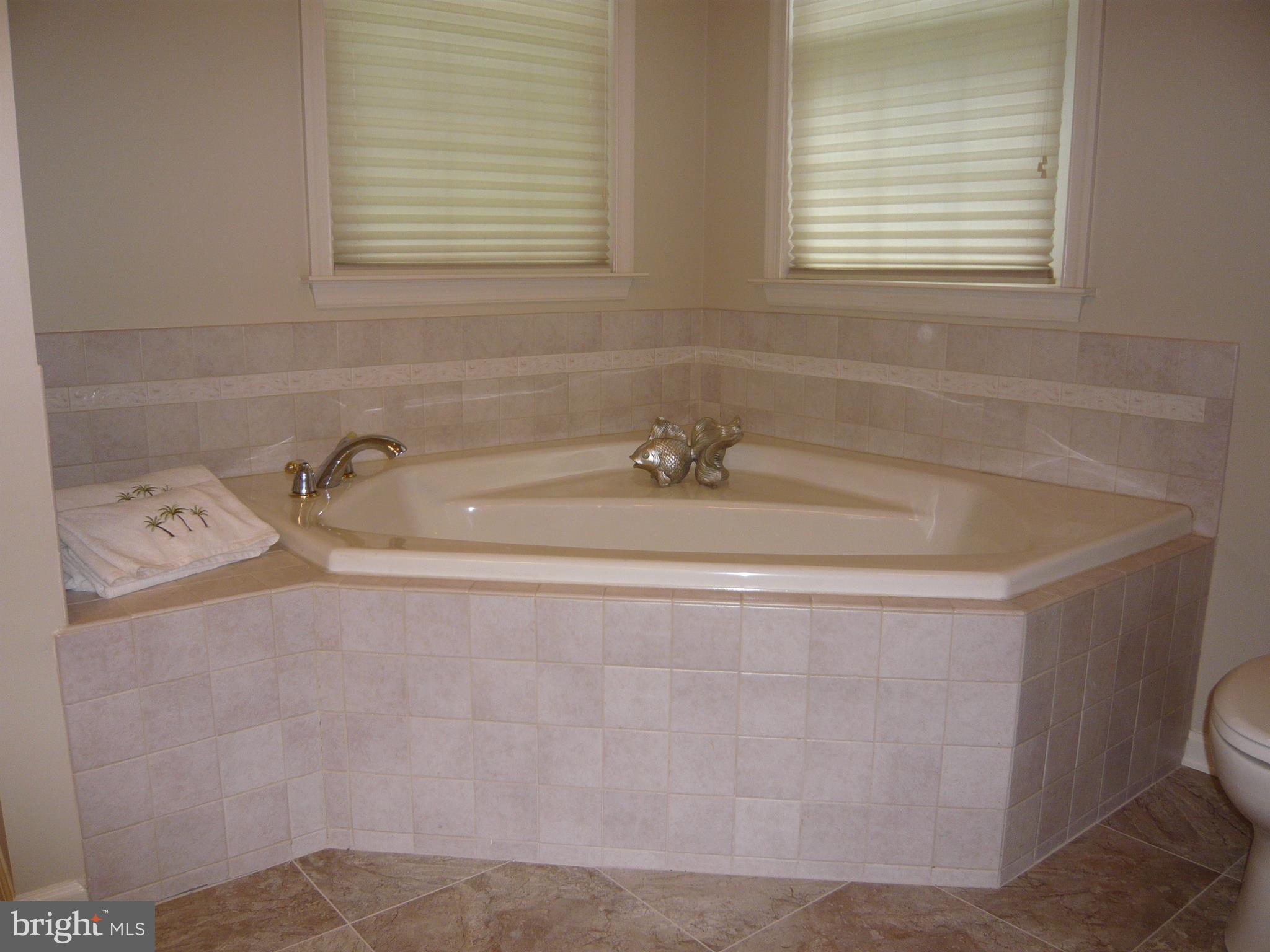 6815 Arvey Road Parsonsburg, MD 21849 - Photo 13 of 27 Master bathroom view 2