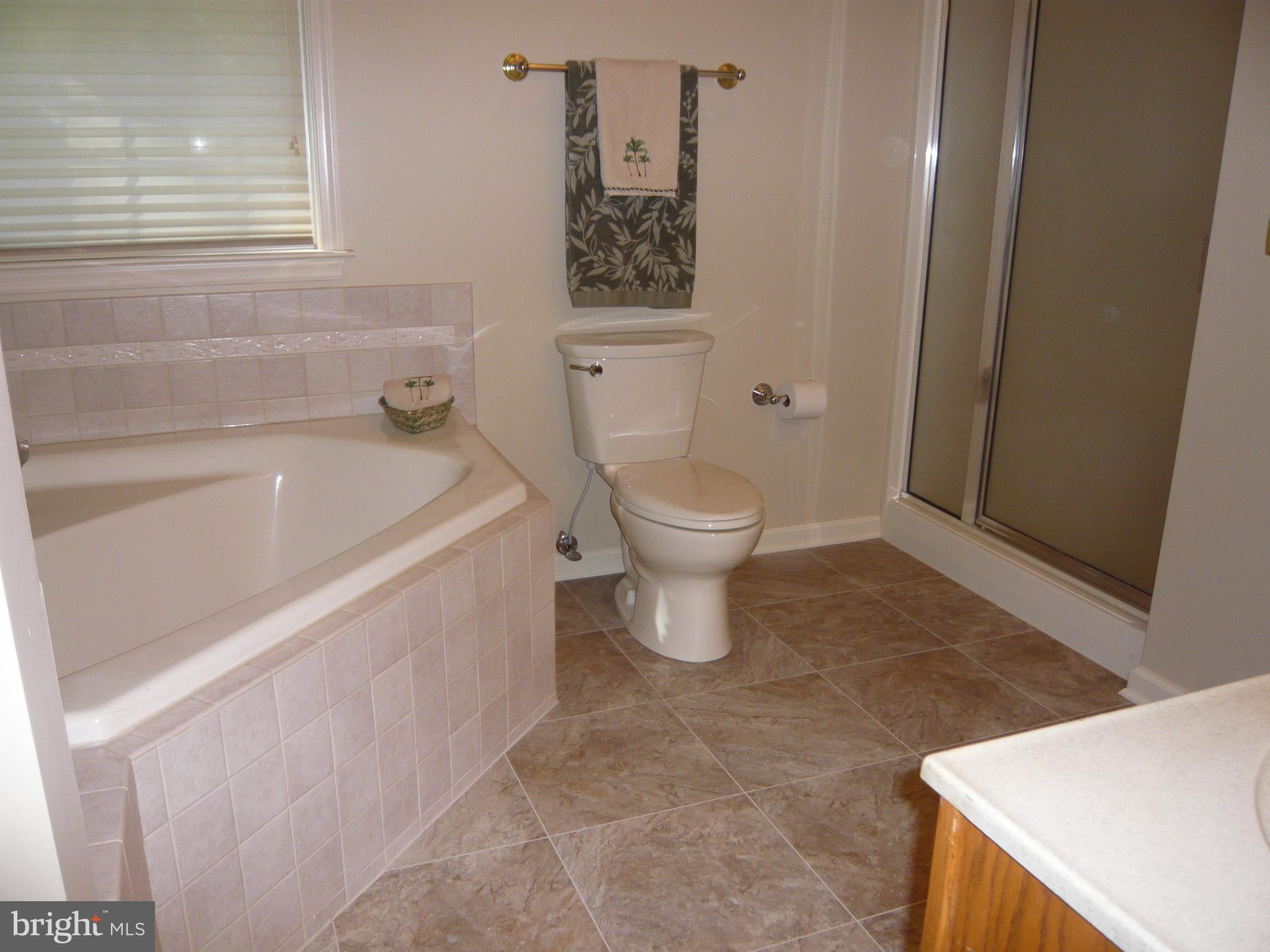 6815 Arvey Road Parsonsburg, MD 21849 - Photo 14 of 27 Master Bathroom