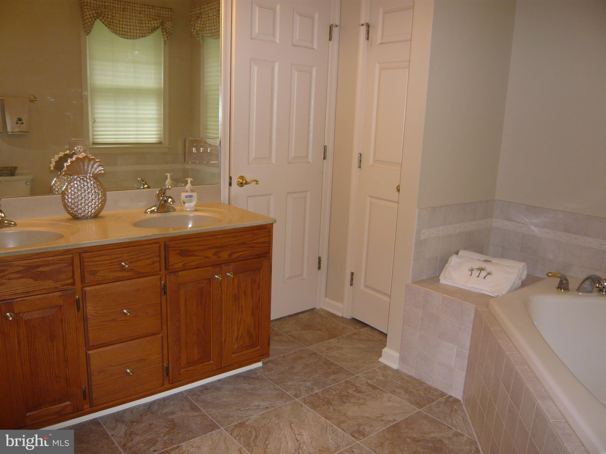 6815 Arvey Road Parsonsburg, MD 21849 - Photo 15 of 27 Master Bathroom view 3