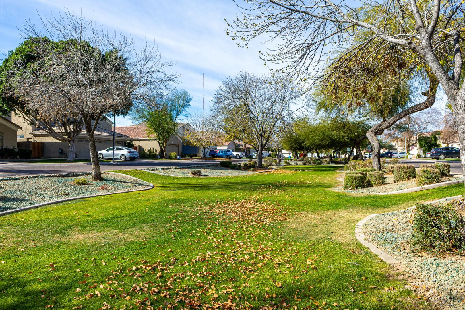 2707 West Lamar Road Phoenix, AZ 85017 - Photo 33 of 44 a view of a park with large trees
