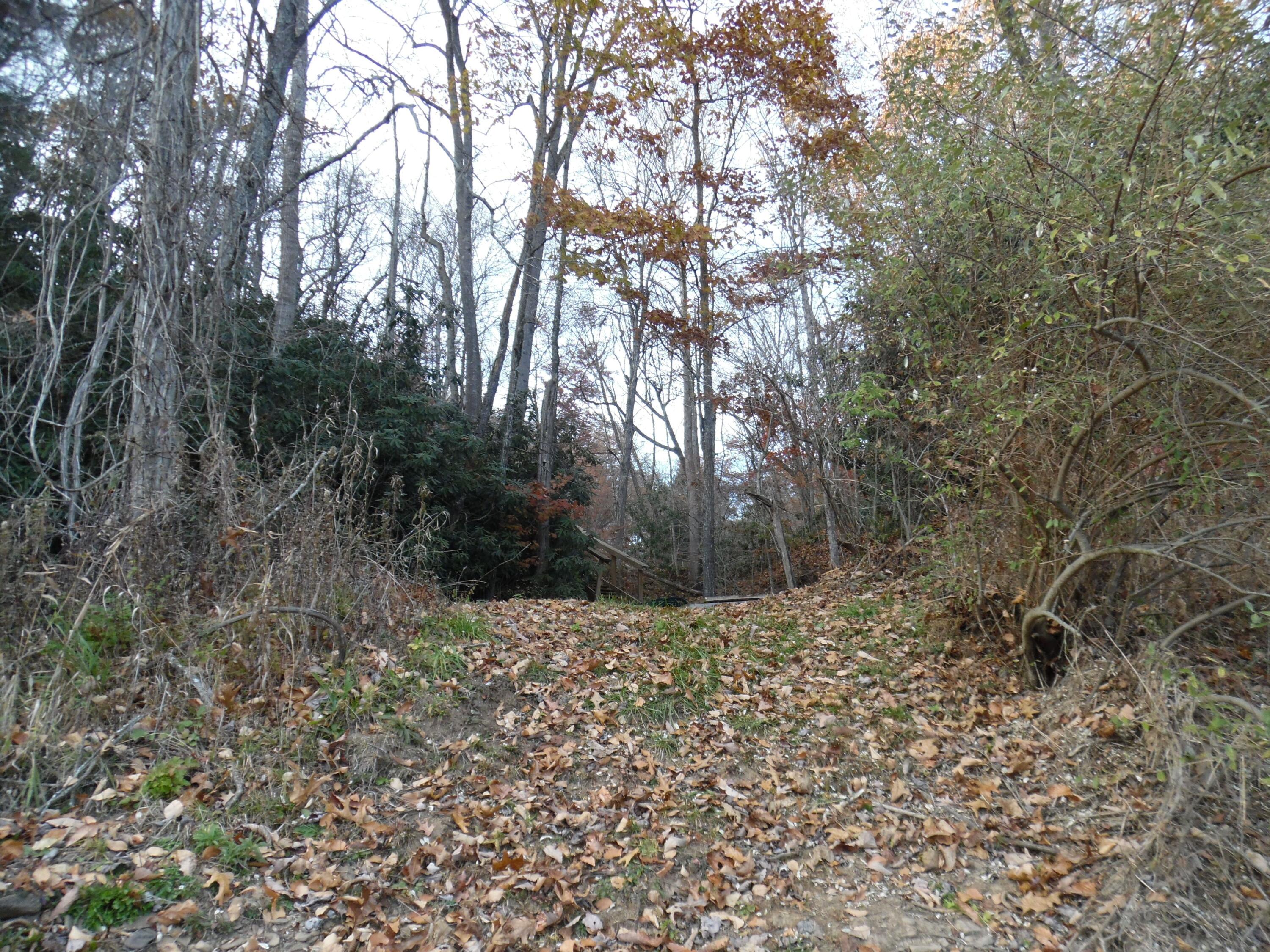 2106 Fairview Road Marlinton, WV 24954 - Photo 50 of 58 Gallery Image 50