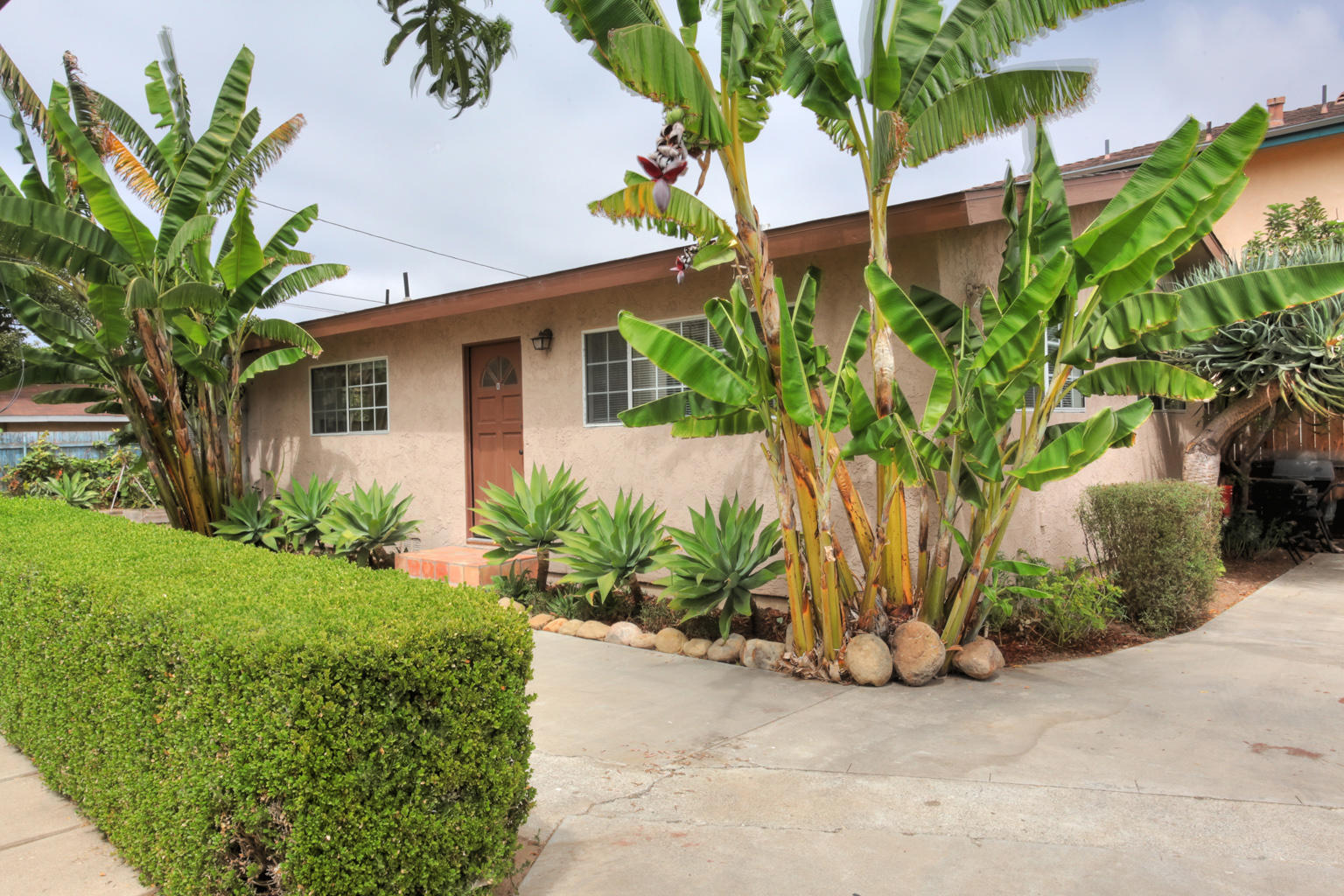 a plant is in front of a house