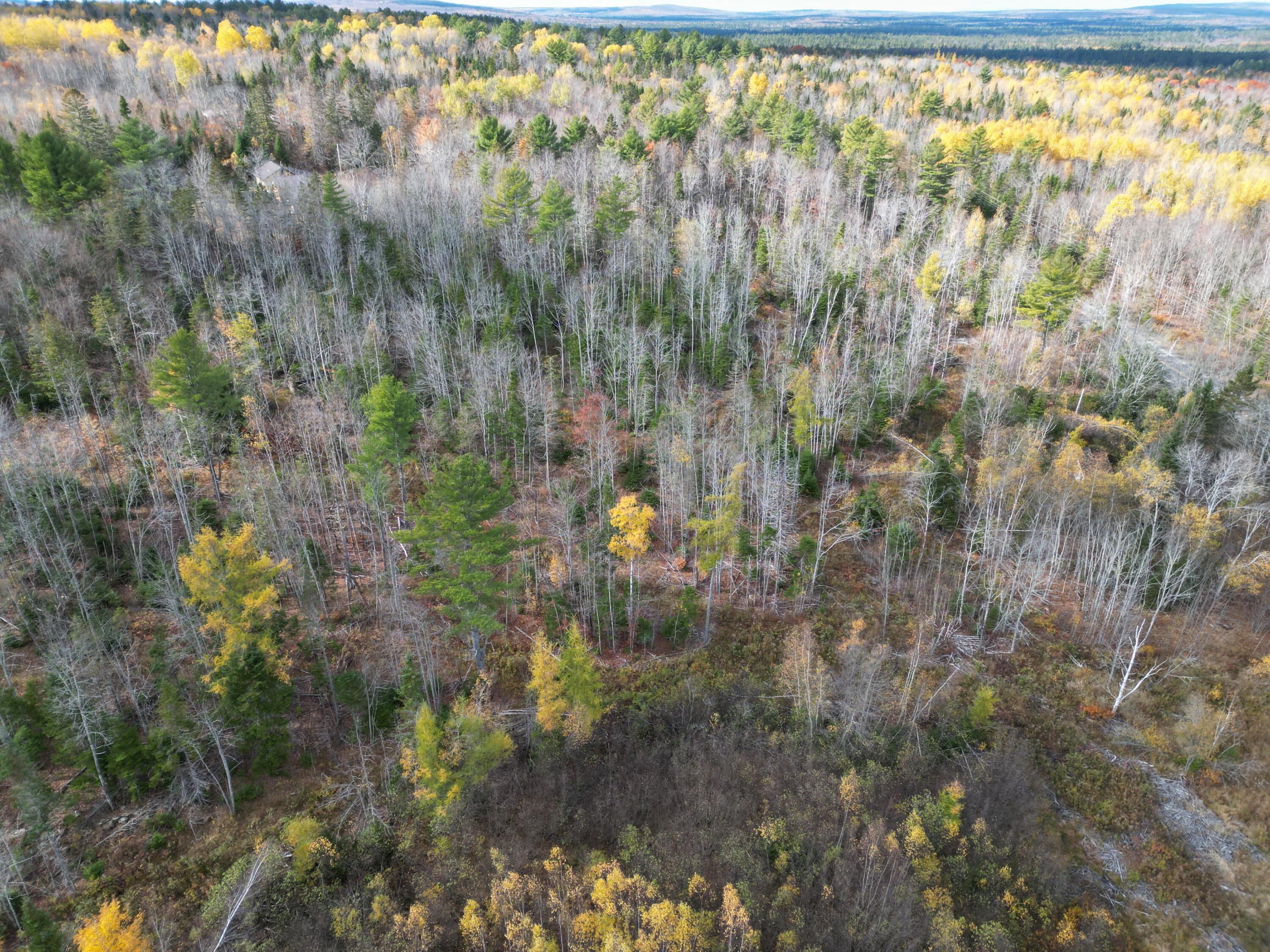Lot 7 Off Main Road Topsfield, ME 04490 - Photo 11 of 28 DJI_0128