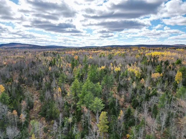 $84,900 | Lot 7 Off Main Road, Topsfield, ME 04490