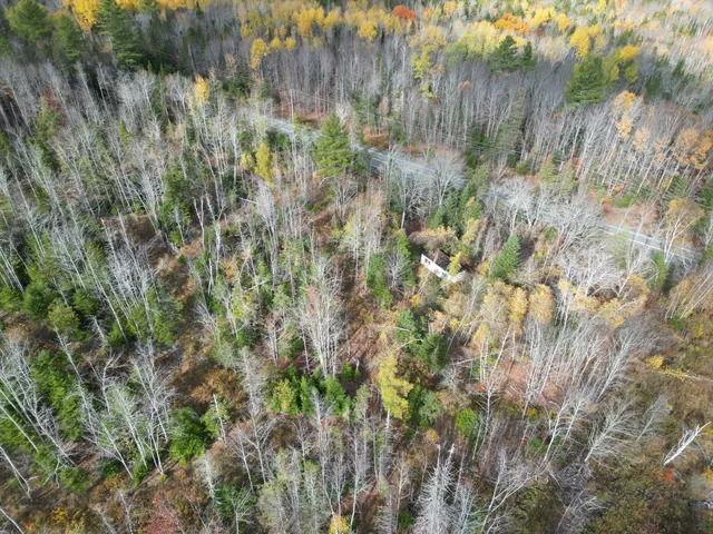 $84,900 | Lot 7 Off Main Road, Topsfield, ME 04490