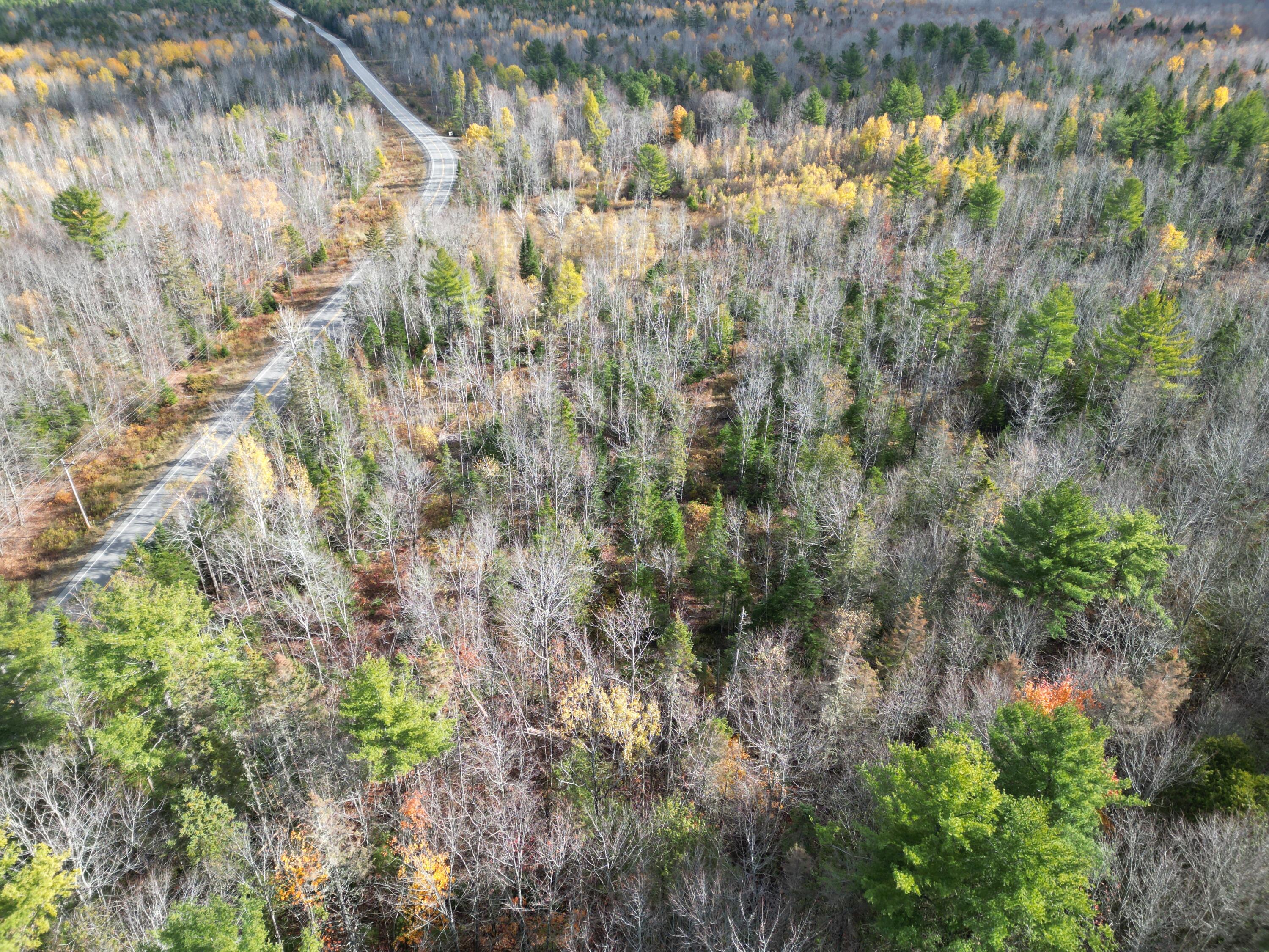 Lot 7 Off Main Road Topsfield, ME 04490 - Photo 15 of 28 DJI_0132