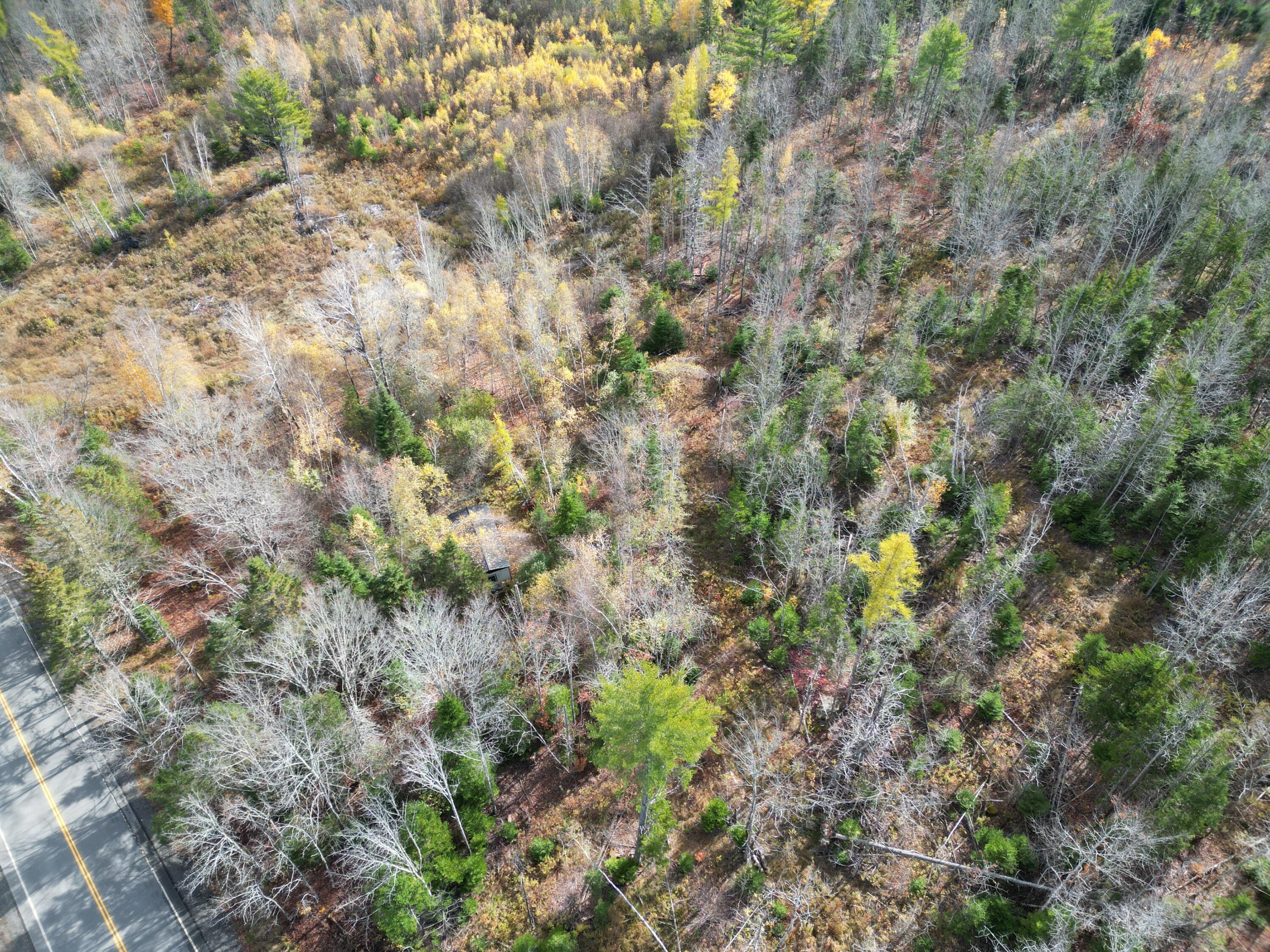 Lot 7 Off Main Road Topsfield, ME 04490 - Photo 16 of 28 DJI_0133