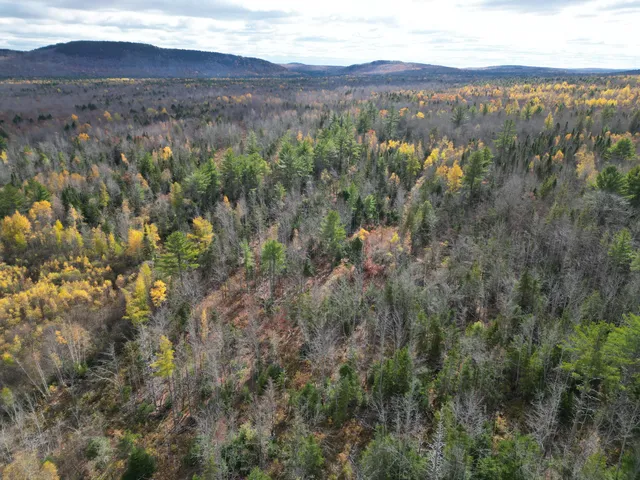 $84,900 | Lot 7 Off Main Road, Topsfield, ME 04490