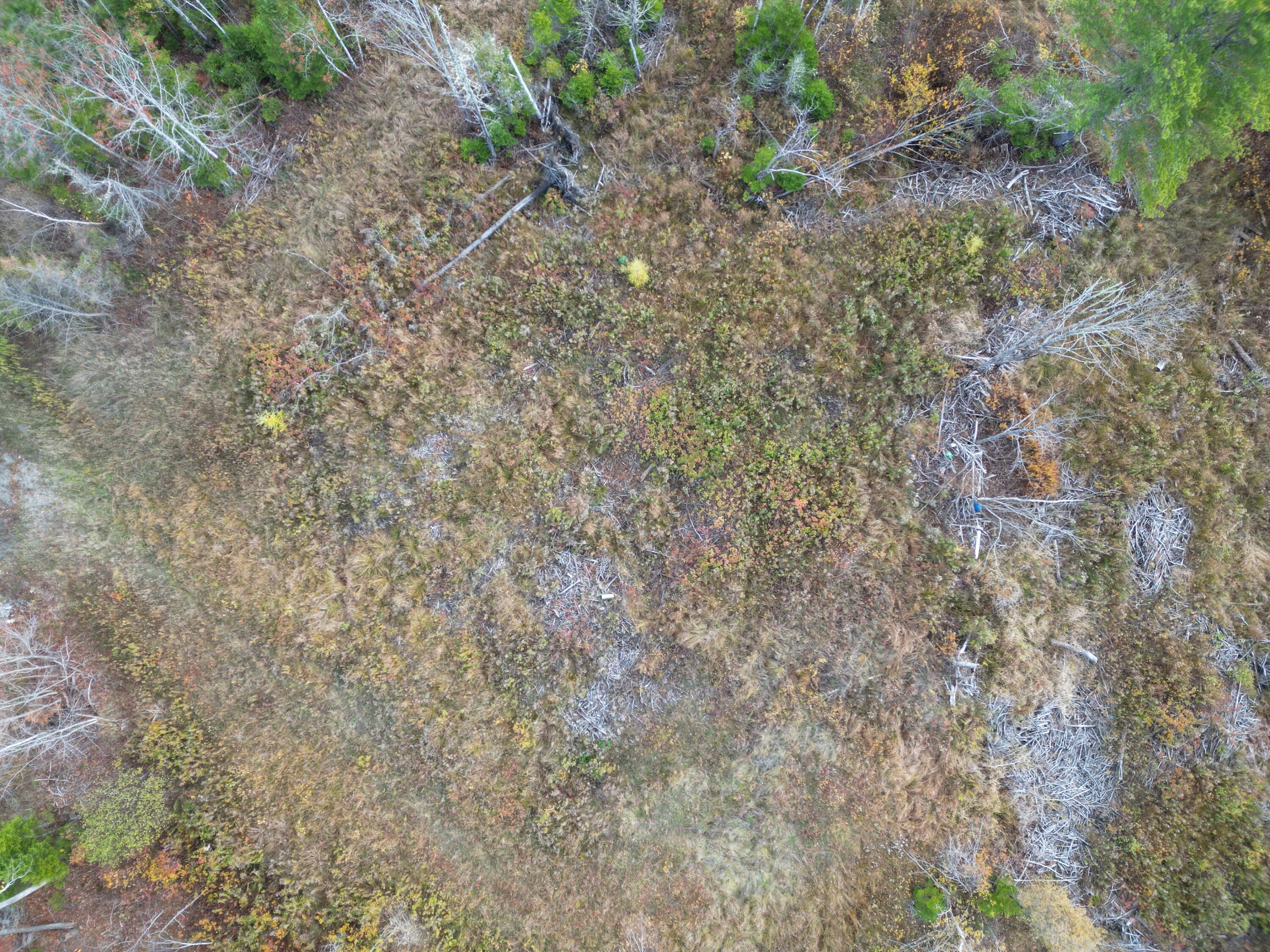 Lot 7 Off Main Road Topsfield, ME 04490 - Photo 19 of 28 DJI_0136