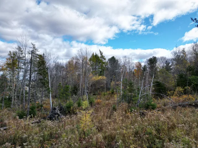 $84,900 | Lot 7 Off Main Road, Topsfield, ME 04490
