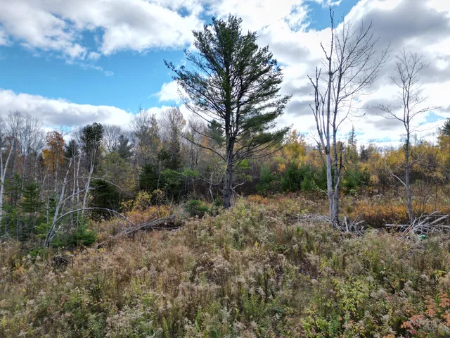 $84,900 | Lot 7 Off Main Road, Topsfield, ME 04490