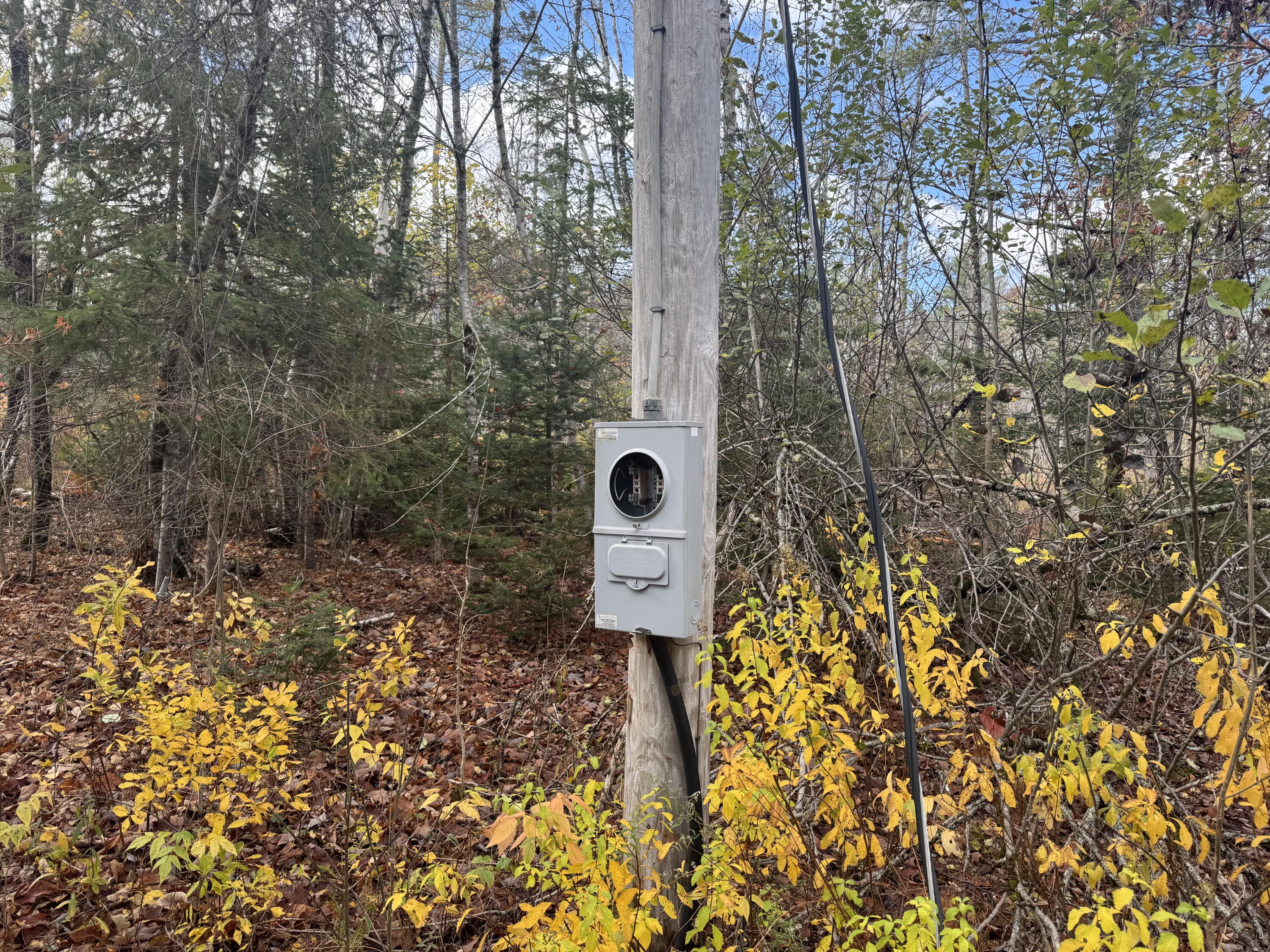 Lot 7 Off Main Road Topsfield, ME 04490 - Photo 27 of 28 IMG_7574