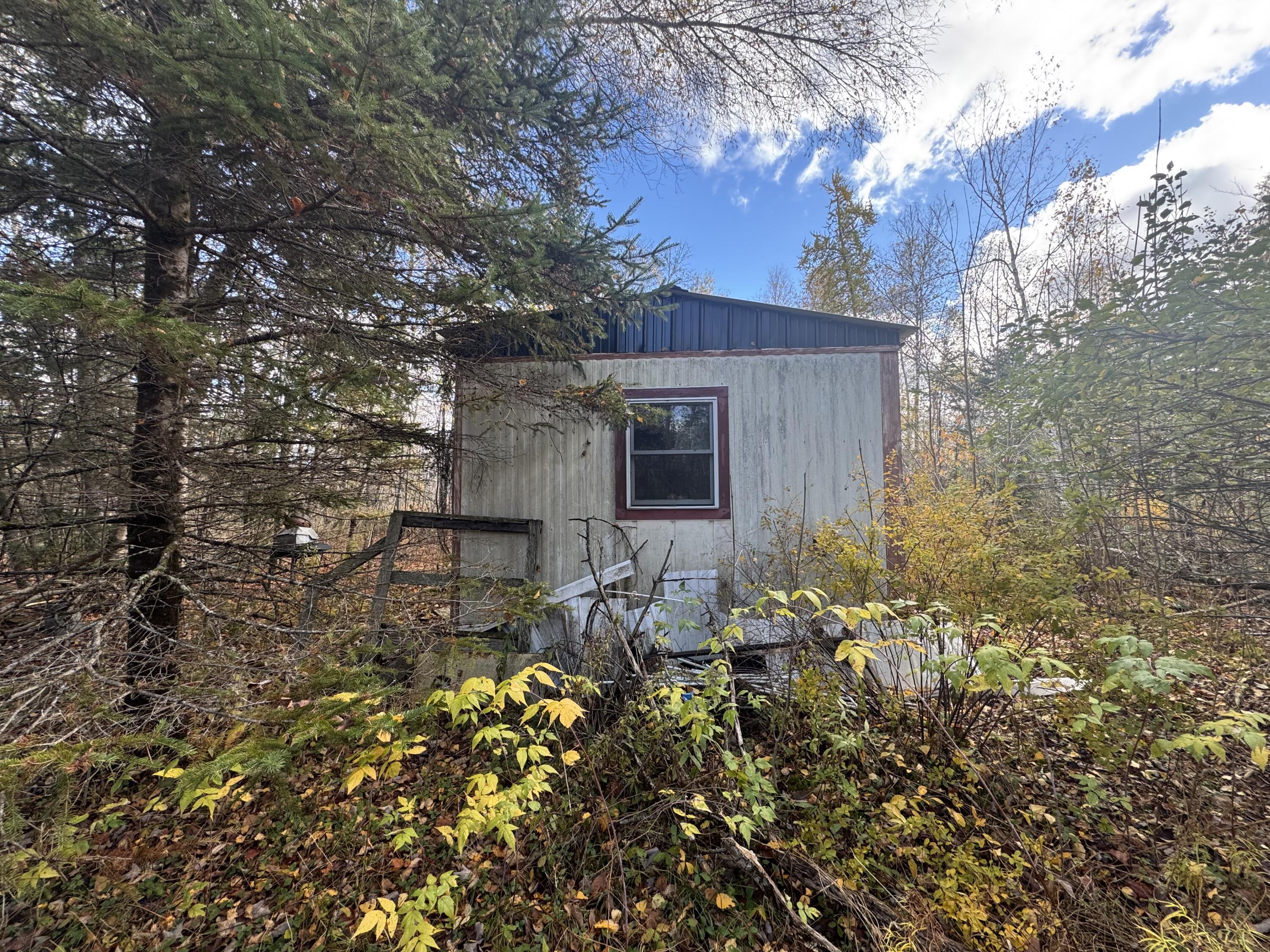 Lot 7 Off Main Road Topsfield, ME 04490 - Photo 28 of 28 IMG_7575