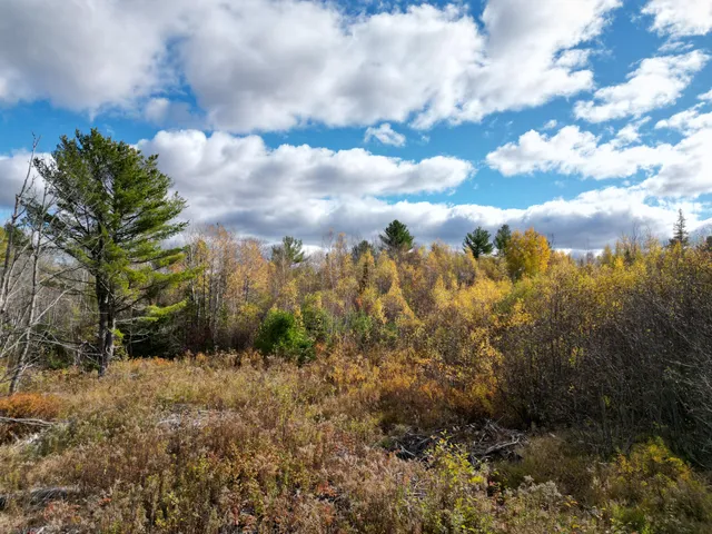 $84,900 | Lot 7 Off Main Road, Topsfield, ME 04490