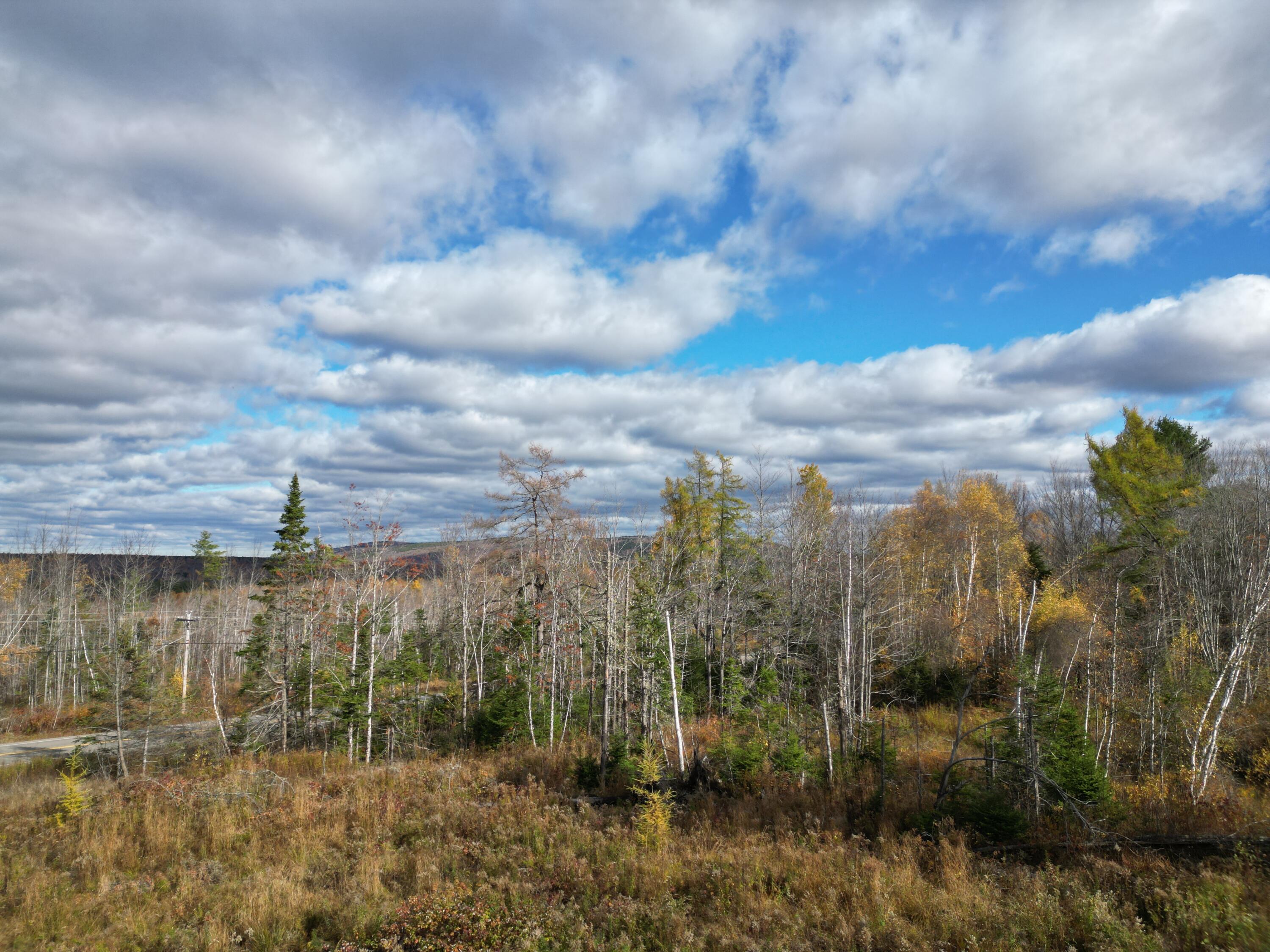 Lot 7 Off Main Road Topsfield, ME 04490 - Photo 8 of 28 DJI_0125