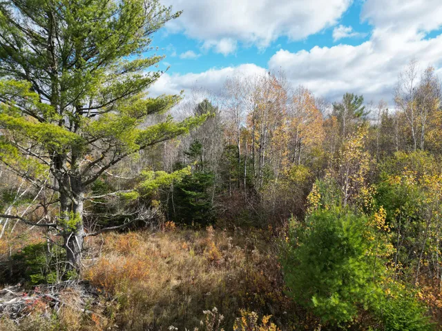 $84,900 | Lot 7 Off Main Road, Topsfield, ME 04490