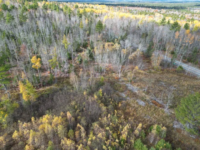 $84,900 | Lot 7 Off Main Road, Topsfield, ME 04490