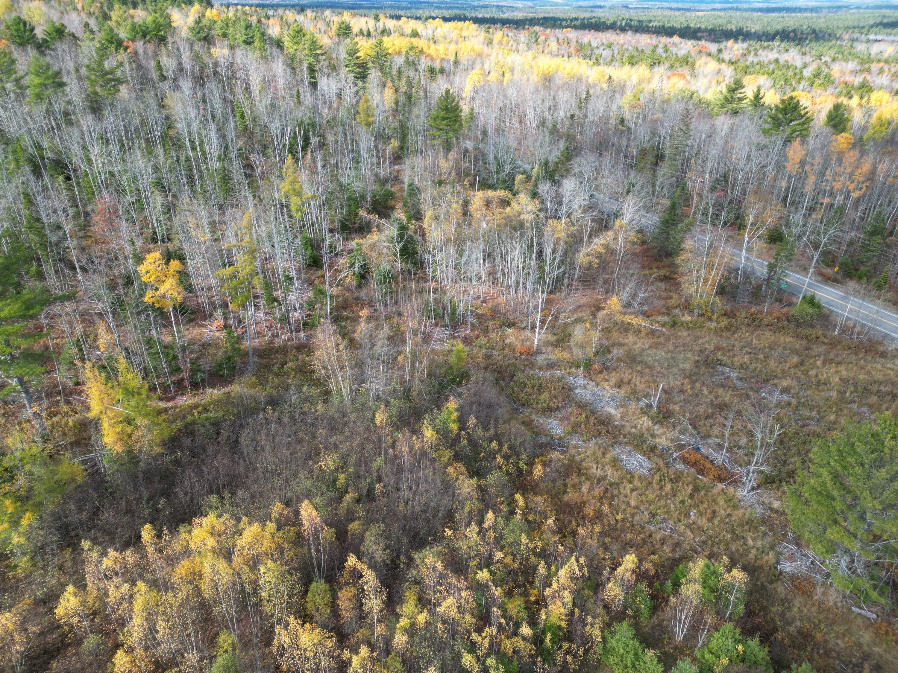 Lot 7 Off Main Road Topsfield, ME 04490 - Photo 10 of 28 DJI_0127
