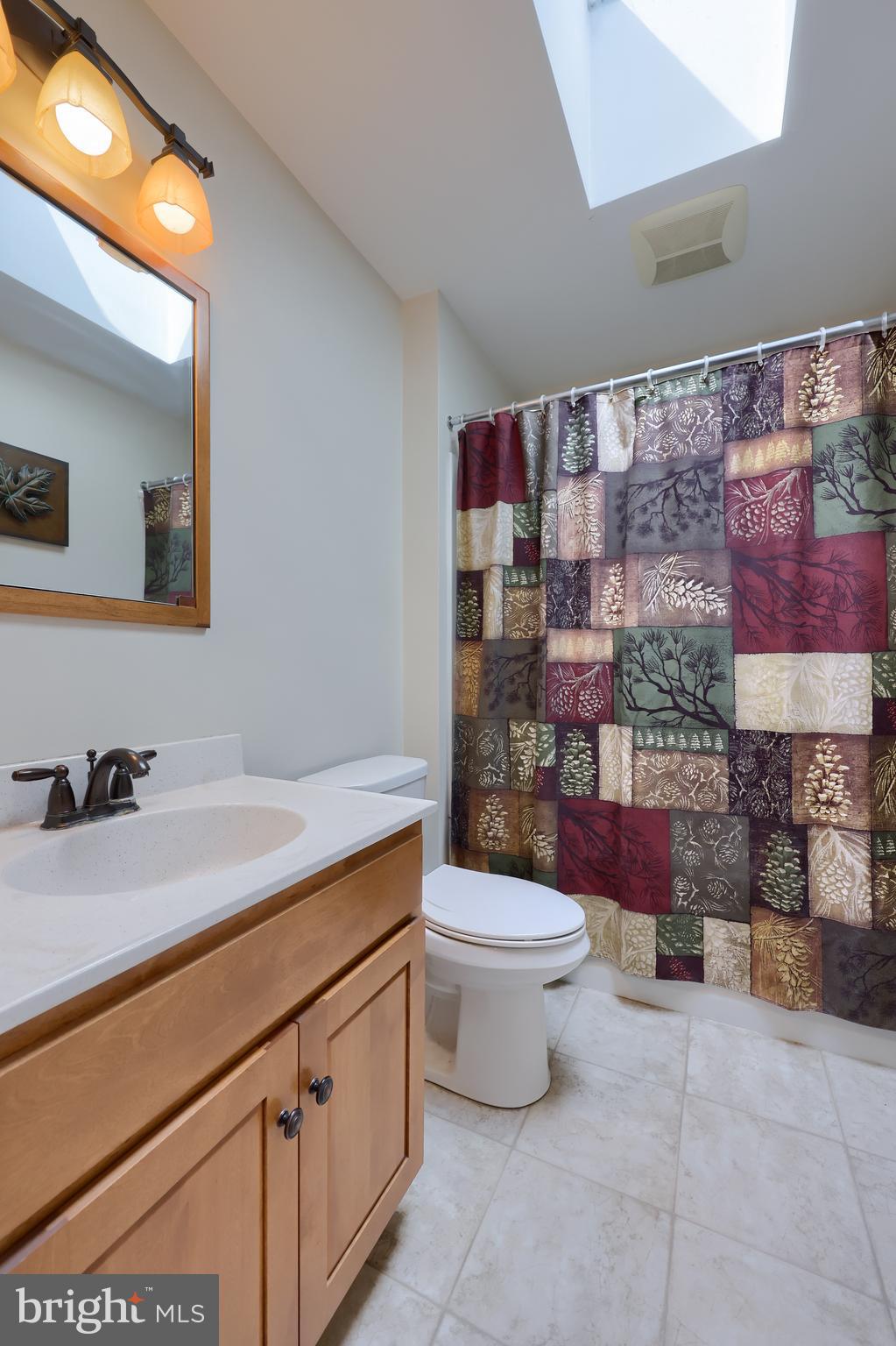 930 Furnace Hills Pike Lititz, PA 17543 - Photo 20 of 42 skylight/Main Bath