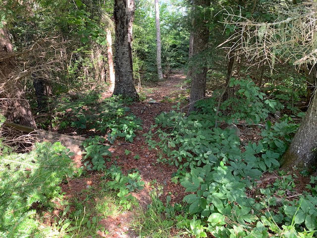 151 Leach Point Road Perry, ME 04667 - Photo 20 of 46 unnamed