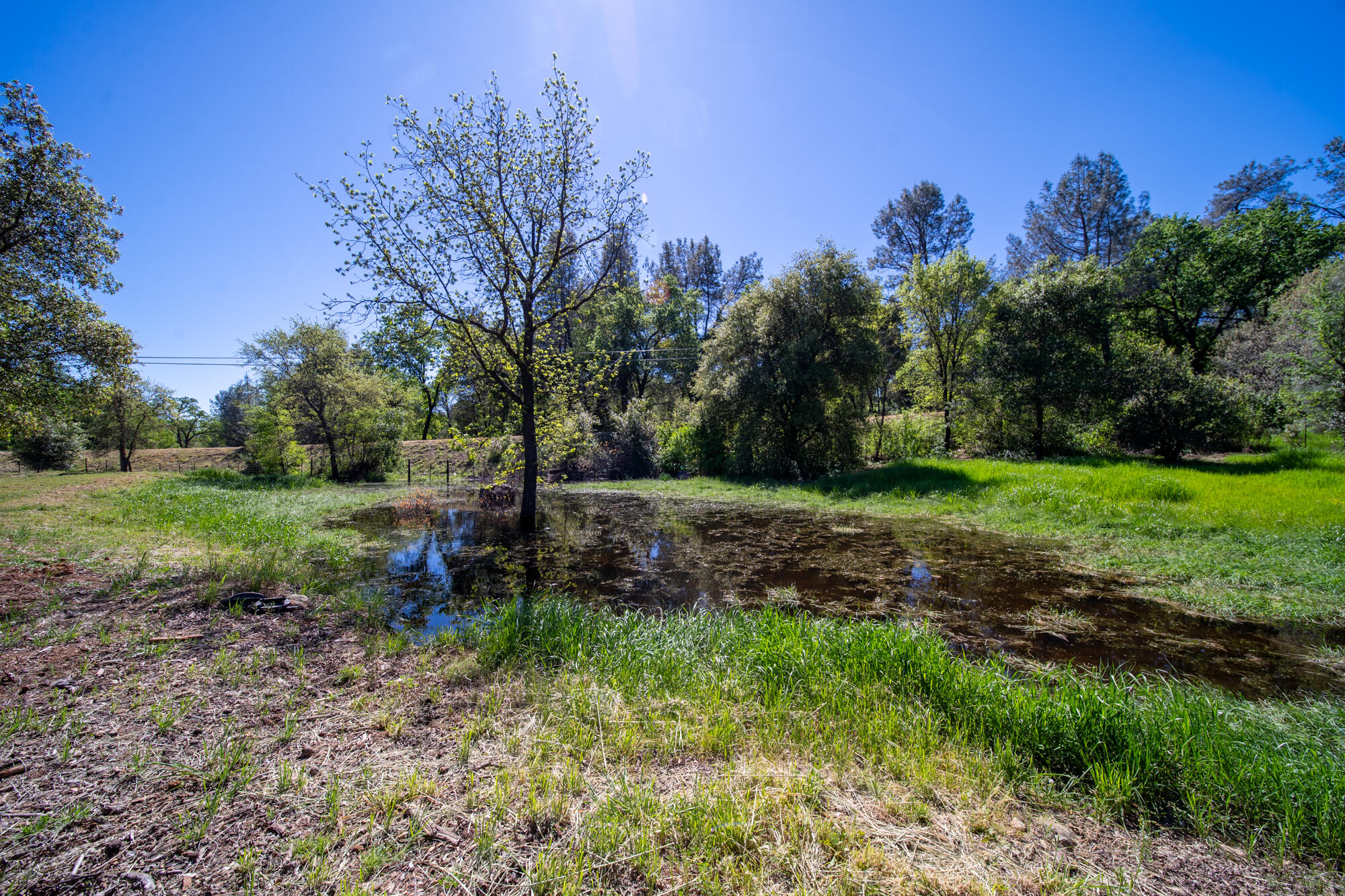 21334 Dersch Road Anderson, CA 96007 - Photo 48 of 63 21334 Dersch Rd - Exterior -10
