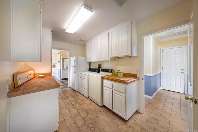 a view of a garden with plants