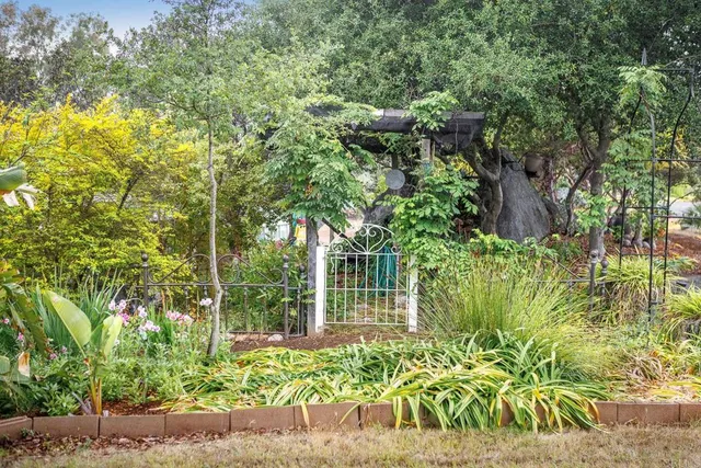 a view of a backyard