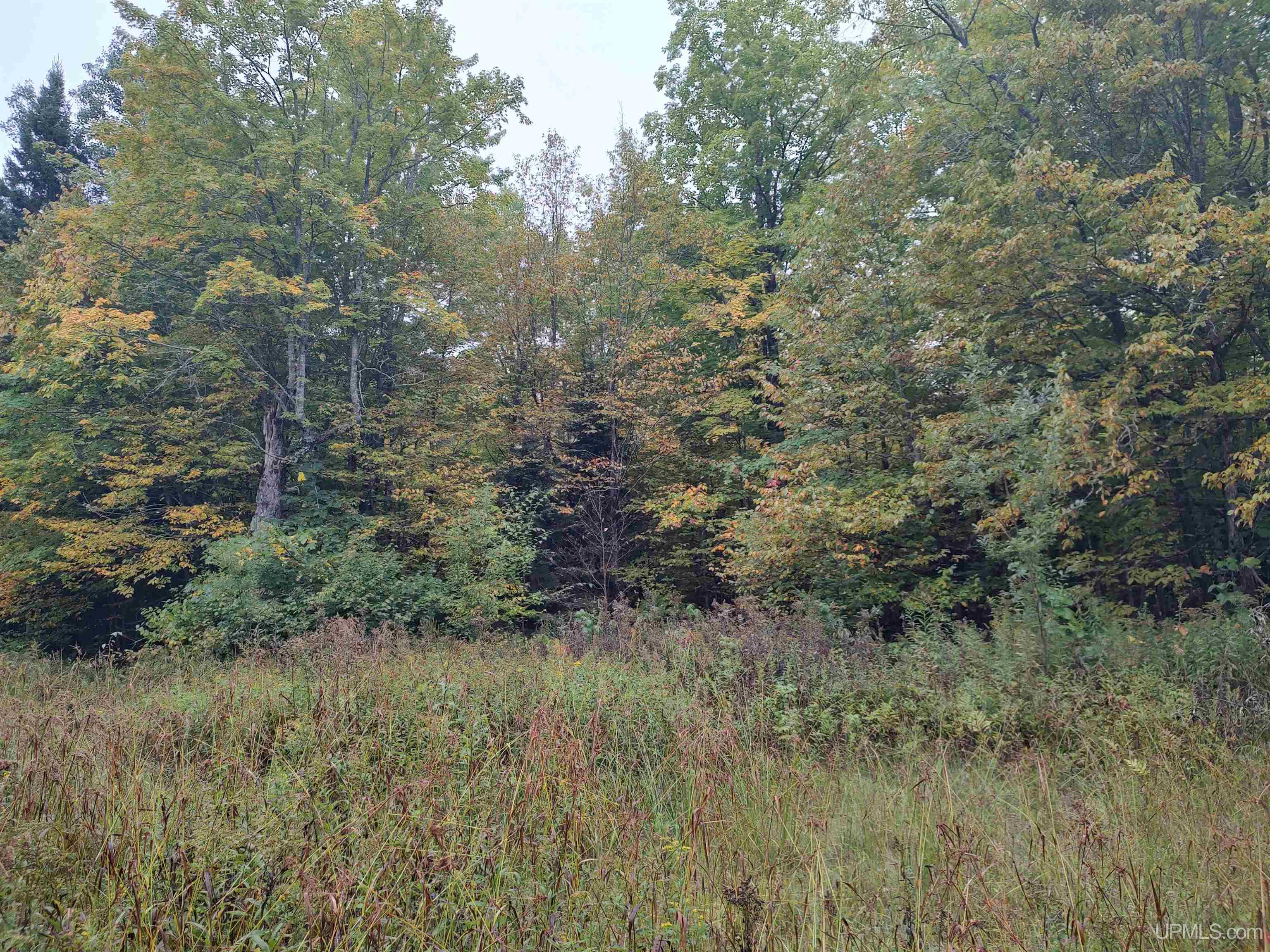 Tbd South Laird Road Pelkie, MI 49958 - Photo 4 of 25