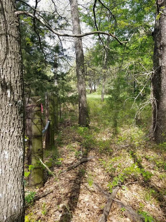 0 Fleming Road Bells, TX 75414 - Photo 2 of 6 View of local wilderness near the rear of the property