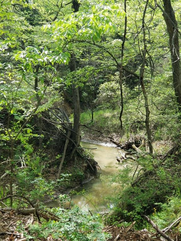 0 Fleming Road Bells, TX 75414 - Photo 3 of 6 View of mother earth's splendor with a water view