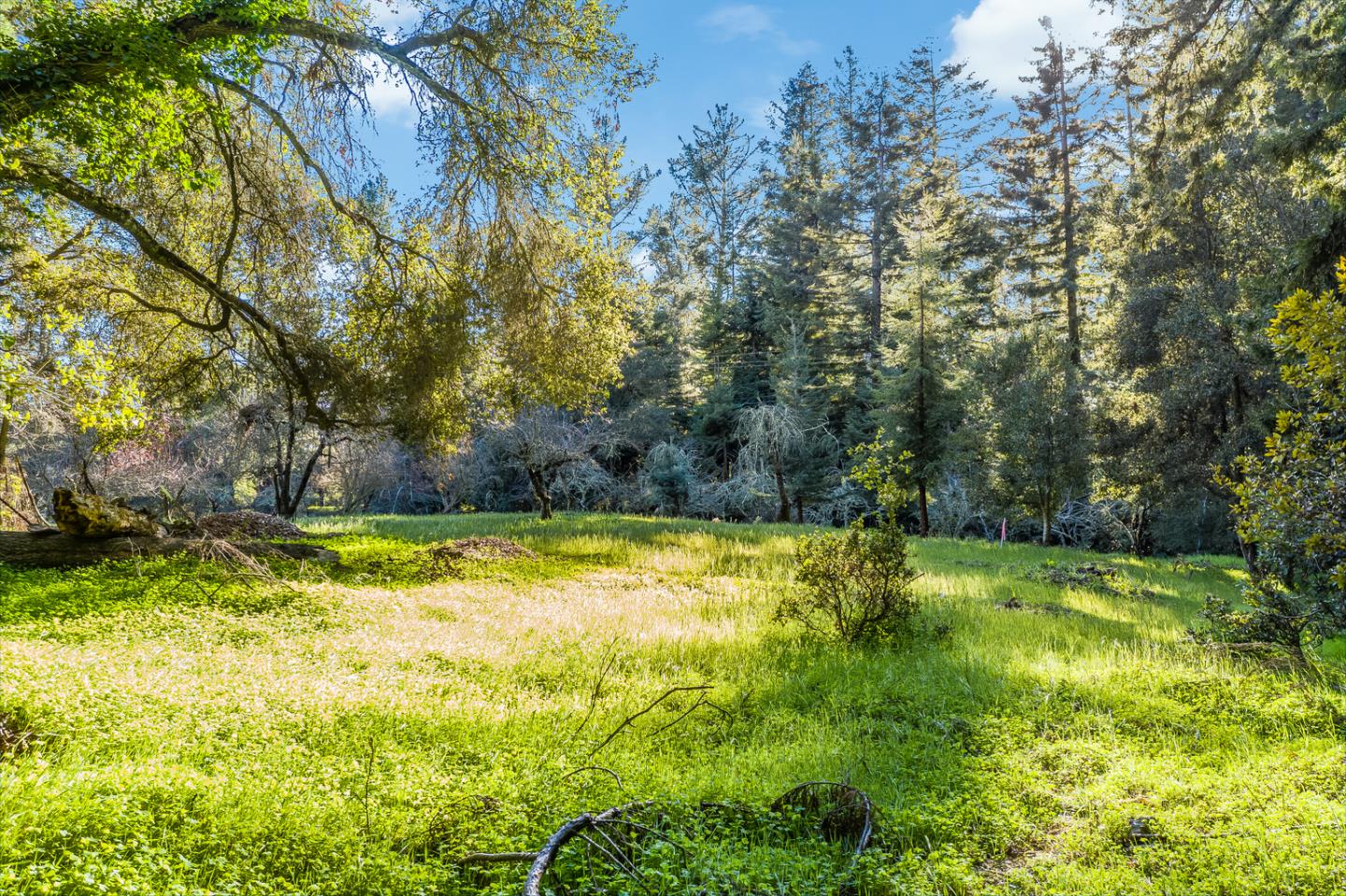 22854 Summit Road Los Gatos, CA 95033 - Photo 11 of 17 Gallery Image 11
