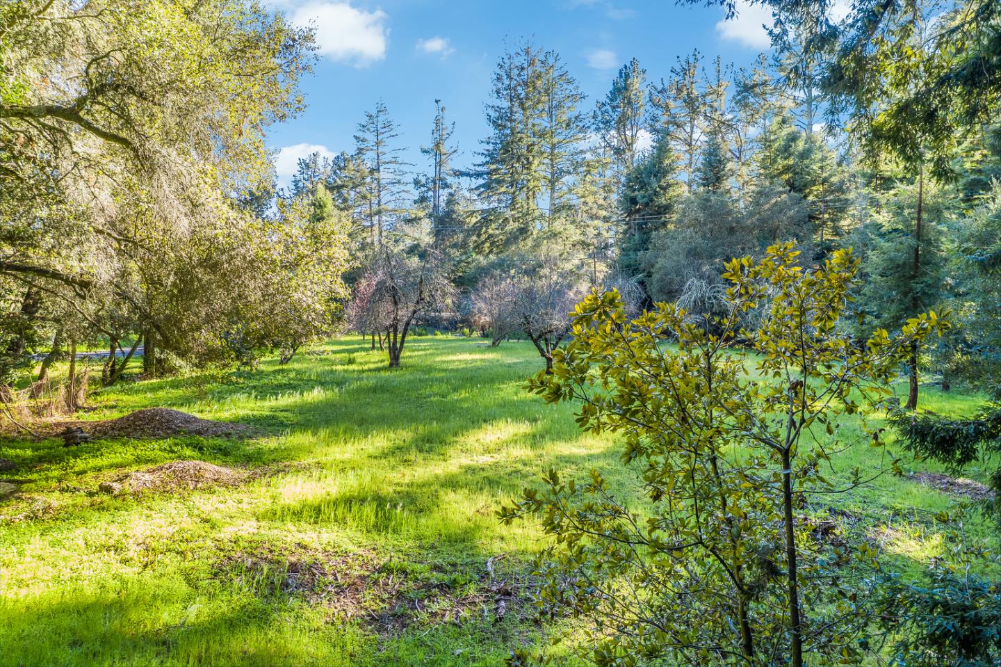 22854 Summit Road Los Gatos, CA 95033 - Photo 12 of 17 Gallery Image 12