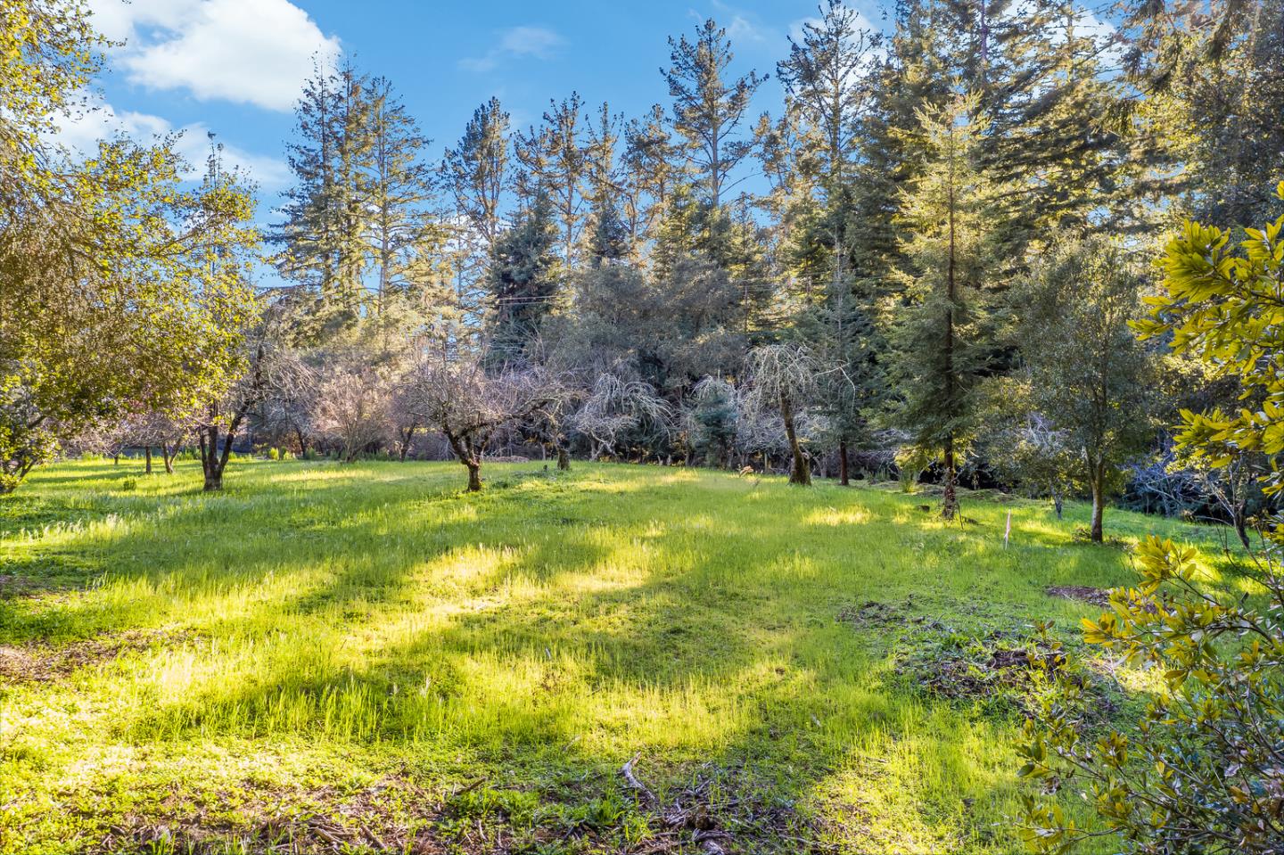 22854 Summit Road Los Gatos, CA 95033 - Photo 13 of 17 Gallery Image 13